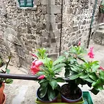 Vakantiehuis La Casa Di Cla *